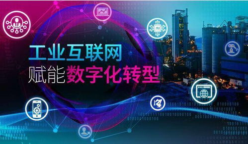 數(shù)字化轉(zhuǎn)型 企業(yè)高質(zhì)量發(fā)展的新引擎——以批零軟件與數(shù)字文化創(chuàng)意軟件開發(fā)為例